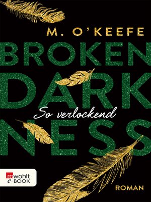 cover image of Broken Darkness
